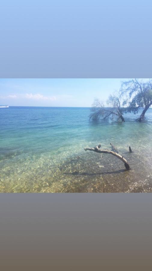 Maleo Moyo Hotel & Dive Resort Moyo Island Exterior photo
